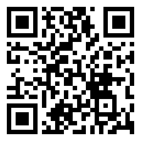 Código QR de twinspinguide.com